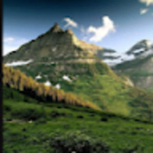 Meet your Posher, Abbie